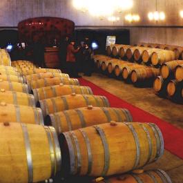 Barrel Cellar