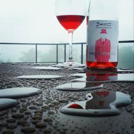 Bottle of Pink Slip Rose on the Balcony